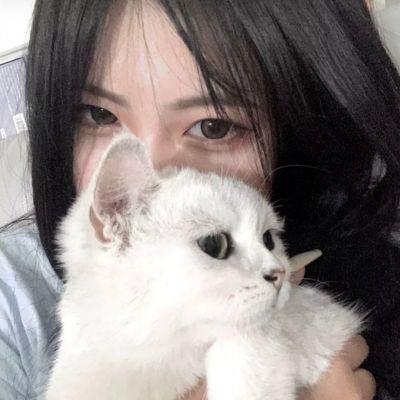 奥特曼之热血格斗完美版游戏下载