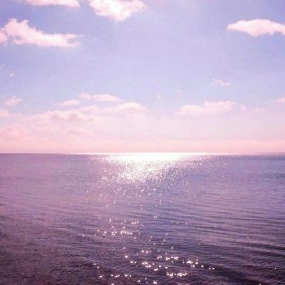 阴阳师晴雅集游戏下载
